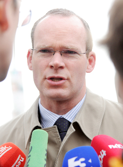 Minister for Agriculture Simon Coveney says Polish ingredient ‘likely source' of horsemeat
