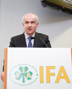 IFA president Eddie Downey doesn't believe the current draft Competition and Consumer Protection Bill provides enough safeguards for primary producers