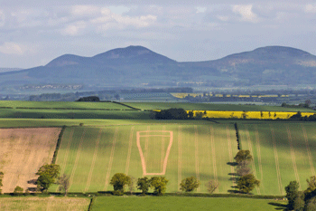 The brewery’s giant pint glass in a Scottish Borders barley field.