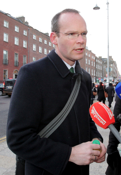 Minister for Agriculture, Food and the Marine, Simon Coveney today said 'no final conclusions' could be drawn surrounding the horse DNA controversy