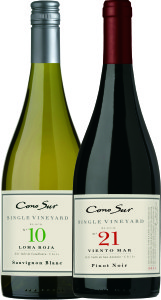 Drinks International has named Cono Sur the 16th most admired wine brand worldwide, second most admired brand in South America and sixth among the New World brands