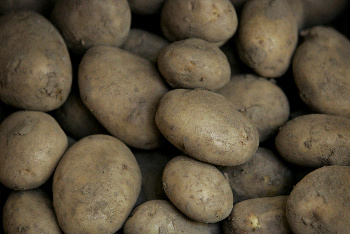 Discounters' super deals on potatoes and other veg harms growers, says the IFA