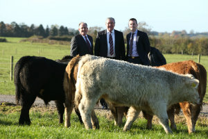 Martin Kelleher, managing director of SuperValu, Minister of State at the Department of Agriculture, Food and Marine, Mr Tom Hayes and Kevin Cahill, CEO Kepak Meat Division at the launch of SuperValu’s new Sustainable Farming Programme