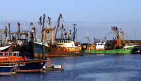 Ireland's seafood industry is experiencing a period of growth, according to BIM