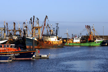 Ireland's seafood industry is experiencing a period of growth, according to BIM