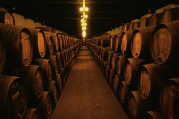 Port cellars (Taylor´s) in Vila Nova de Gaia, Portugal