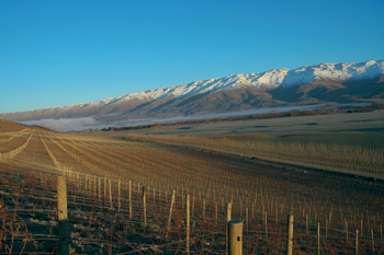 Central Otago is noted for pinot noir