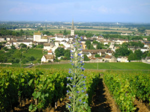 The village of Meursault in Burgundy’s Côte d’Or