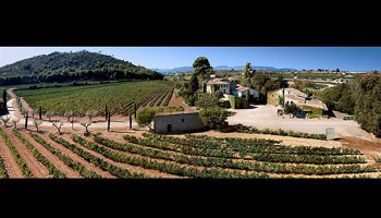 The Mas Rabell vineyard in Catalonia where Miques Torres produces some fine regional wine