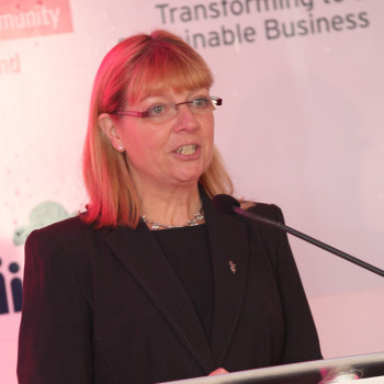 Tina Roche, CEO, Business in the Community Ireland, addressing delegates at the organisation’s 2010 conference