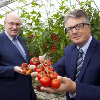 Phil Hogan, incoming EU Commissioner for Agriculture and Rural Development and Rory Byrne, Chief Executive, Total Produce, inspect local Irish tomatoes on the vine at Total Produce’s Glasshouses in Swords, Co. Dublin