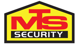 mts security