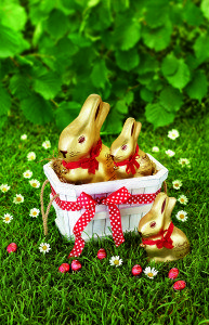 The Lindt Gold Bunny is the #1 Easter novelty in the Irish Market