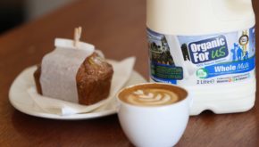 Aurivo Co-op's Organic for Us milk has been named as exclusive dairy partner at the World Barista Championship in Dublin