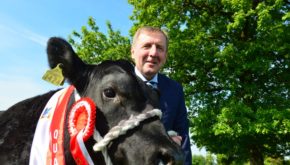 Minister Michael Creed with 'Rebel' at the launch of the Aldi Angus Bull Calf Championship