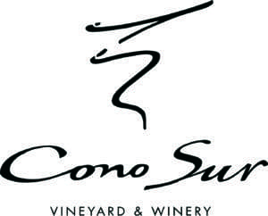 Cono Sur Logo
