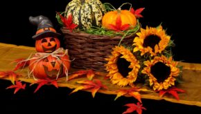 As Halloween approaches, sales of pumpkins soared 24% year-on-year with shoppers spending an additional €1.3m on sugar confectionery and €816,000 on chocolate confectionery