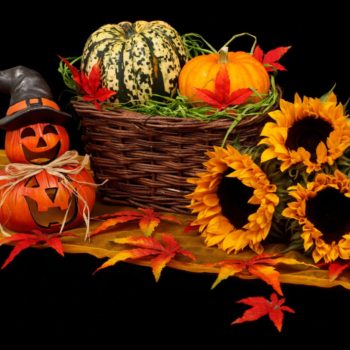As Halloween approaches, sales of pumpkins soared 24% year-on-year with shoppers spending an additional €1.3m on sugar confectionery and €816,000 on chocolate confectionery