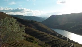 Portugal's Douro river contributes to the northern region's unique terroirs