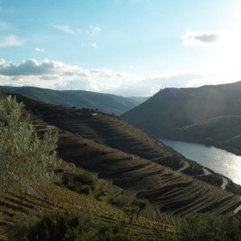 Portugal's Douro river contributes to the northern region's unique terroirs