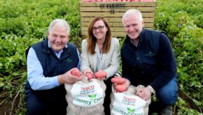 Sheila Gallagher, commercial director, Tesco Ireland with Michael and Gabriel Hoey, Country Crest