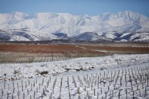 Winters in Argentina's vineyards can be surprisingly chilly