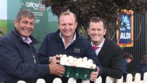 Announcing the new deal at the 2018 National Ploughing Championships are Paul Scally, buying director, Aldi Ireland; Leslie Codd, managing director of Codd Mushrooms, and Andrew Doyle, Minister of State for Food, Forestry and Horticulture