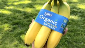 Fyffes new-look reduced packaging - another siginificant step towards plastic reduction
