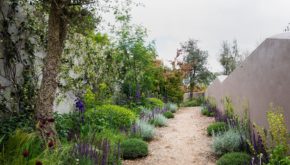 Just one angle of Alan Rudden's award-winning garden at this year's Bloom 2019 festival (pic: Fennels Photography)