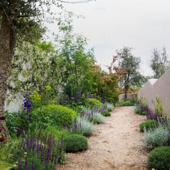 Just one angle of Alan Rudden's award-winning garden at this year's Bloom 2019 festival (pic: Fennels Photography)