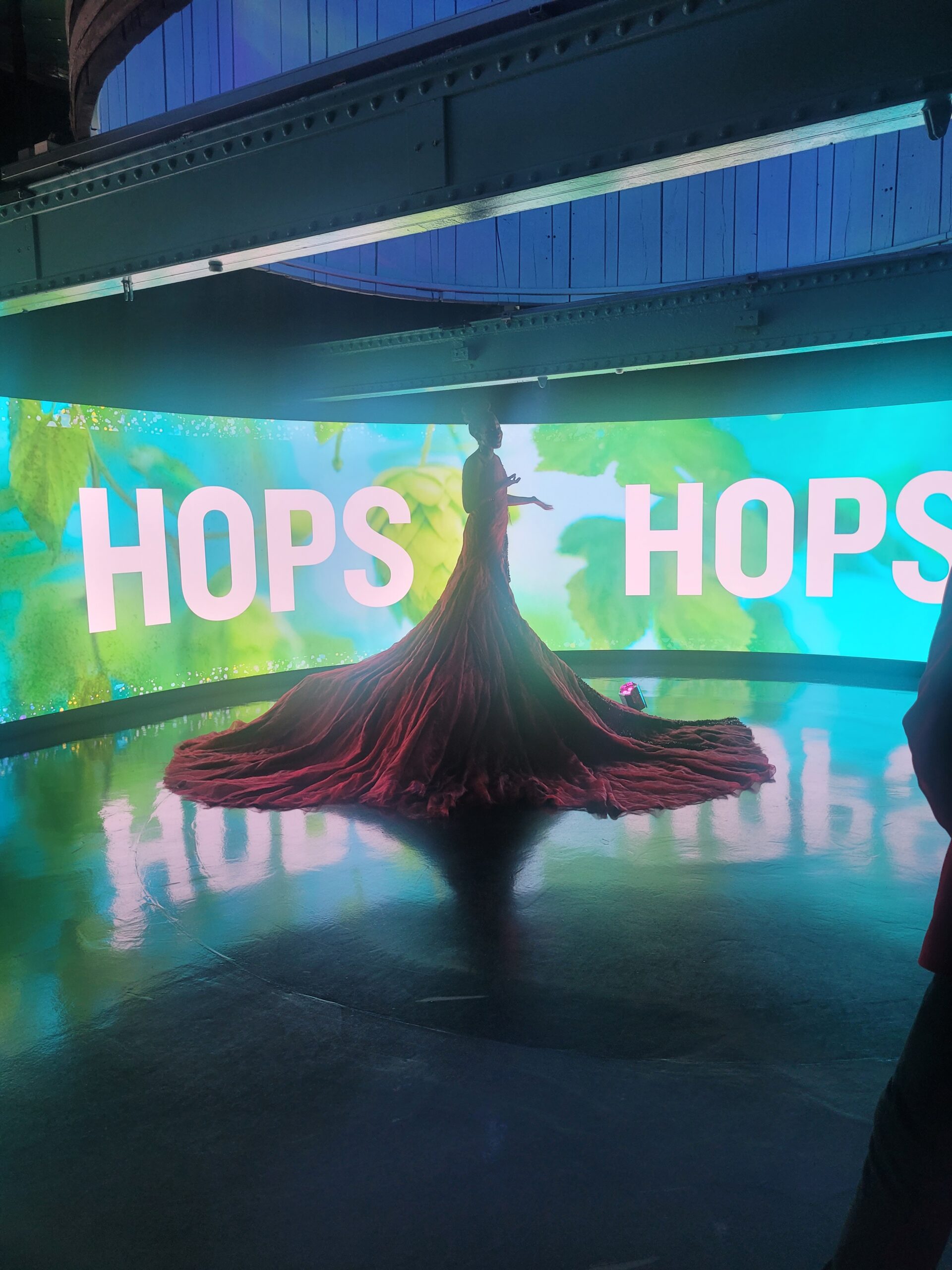 From the lyrical of word to musical performances and enchanting transformations, the Guinness Storehouse came alive on its 25th birthday.